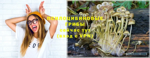 герыч Балахна