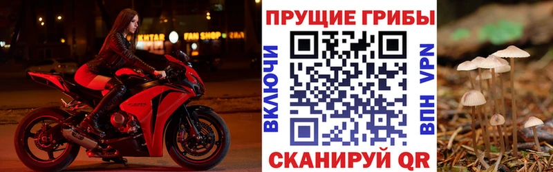 даркнет сайт  Радужный  Псилоцибиновые грибы Magic Shrooms 