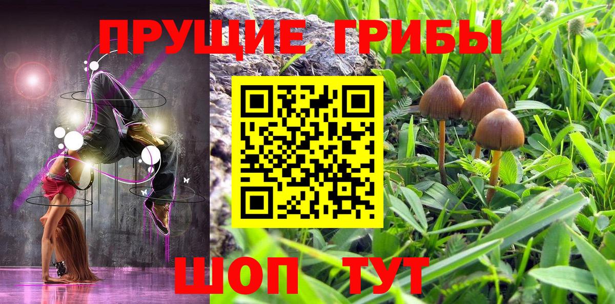 Псилоцибиновые грибы Psilocybe Радужный